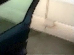 Amazing brunette sucking cock in the car