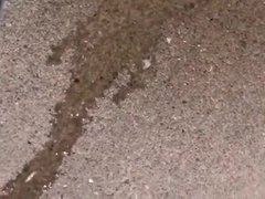 Pissing in the street
