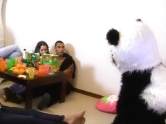 A sex party with a panda is a good sex party