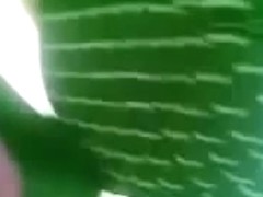 Hot Girl Dicked by Pervert in Running Bus With an Erect Cock