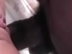 kitten anal