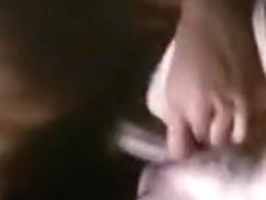 Vintage - Kitten Watches A Butt Fucking