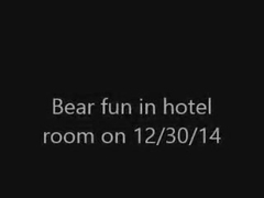 bear fun in hotel room