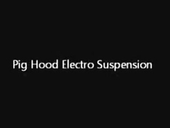 ****Hood Electro Suspension
